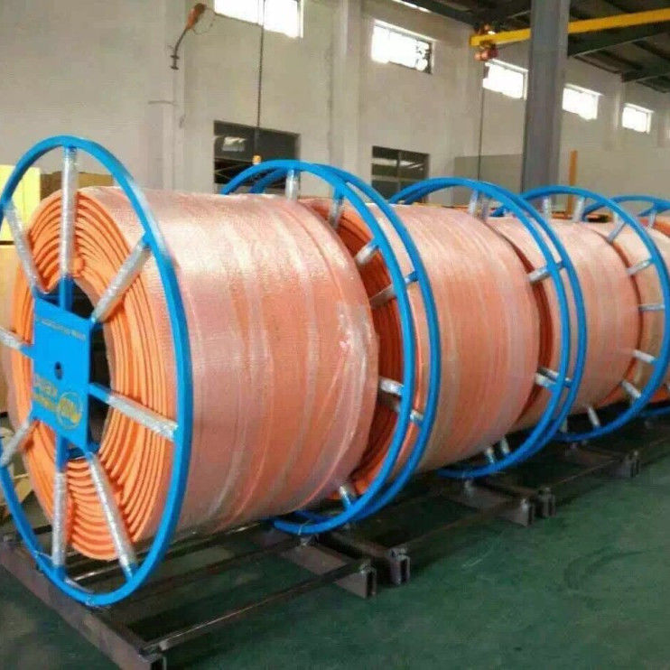Base 4 3p de Crane Conductor Rail Manufacturers Safety 3x1m m 1x.5m m del alzamiento 100a
